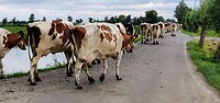 IMG_20230719_104858