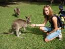 Kangaroo's voeren