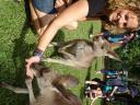 Tessa met kangaroo's