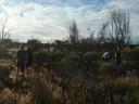 Hout sprokkelen