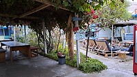 Arica: Tuin vh hostal