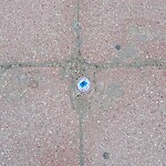Arica: Big brother is watching ;)