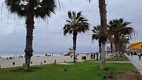 Iquique: Playa Cavancha