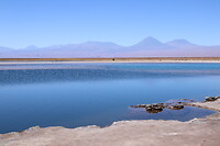 Laguna Cejar