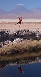 Ojos de Salar