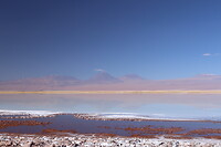 Laguna Cejar