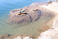 Laguna Cejar