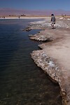 Laguna Cejar