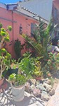 Copiapó, tuin van iemand