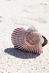 Bahía Inglesa