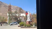 Vicuña, beeld: Gabriela Mistral