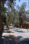Elqui Pisco