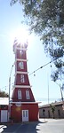 Vicuña
