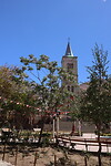 Elqui Pisco
