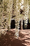 Jardin Botánico Nacional
