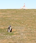 Los Pingüinos Natural Monument
