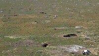 Los Pingüinos Natural Monument
