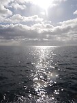 Bahia Aqua Fresca