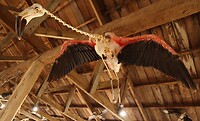 Museum Rio Seco