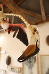 Museum Rio Seco