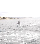 Bahia Aqua Fresca