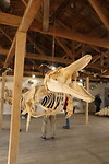 Museum Rio Seco