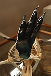 Museum Rio Seco, pinguinvoet