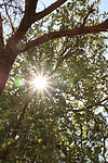Parque San Martin