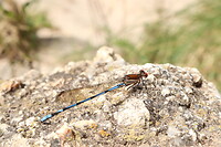 Wandelen dag 1 - Puerto Garay (Rio Mina Clavero)