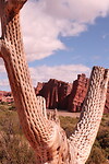 Tour quebrada de las conchas