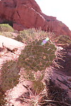 Tour quebrada de las conchas