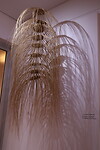 Museum of Fine Arts