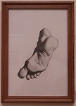 Museum of Fine Arts: Noelia Tolaba González