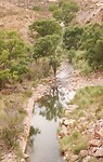 Canyon Atual