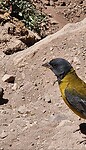 Parque Aconcagua