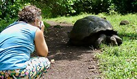 Galapagos schildpad