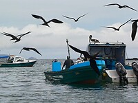Puerto Ayora