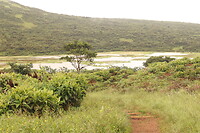 San Cristobal Biological Reserve