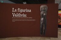 Museo MAAC