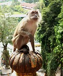 Batu Caves