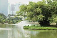 Lake Garden - botanische tuin