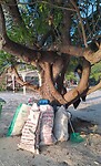 Beach clean up