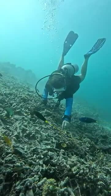 Ocean clean up, Mariska