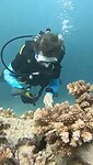 Cleaning the artificial reef