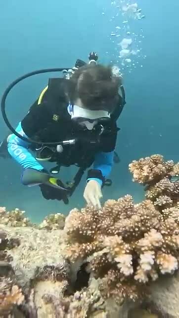 Cleaning the artificial reef