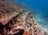 Step reef