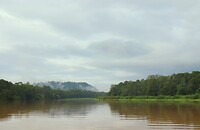 Kinabatangan river