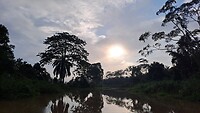 Kinabatangan river