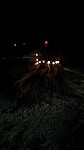 Kerstboom van palmblad