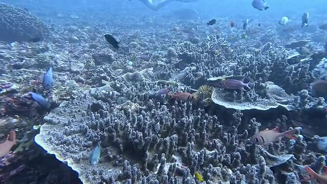 "Aquarium" of kraamkamer?